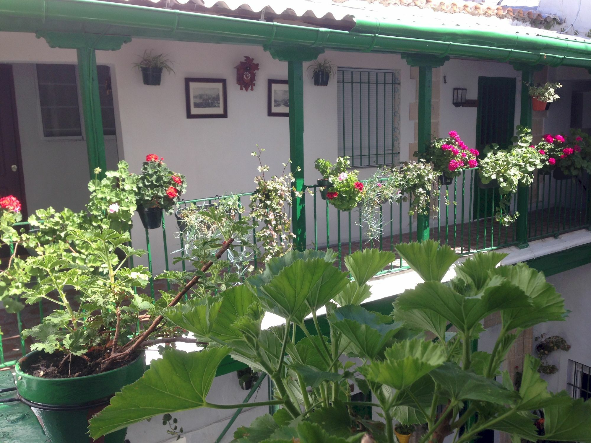 Apartamentos Jerez Jerez de la Frontera Exteriér fotografie
